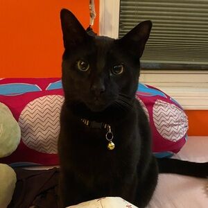 Meet your Posher, Michelle